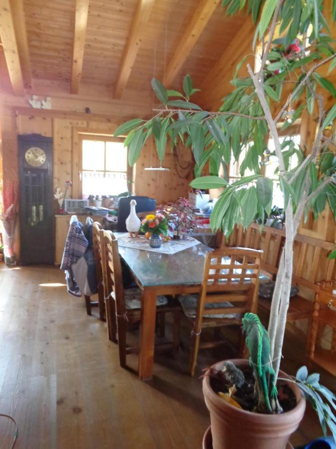 Barrierefreies Zimmer Im Blockhaus Mit Sauna Am See Soyen Extérieur photo